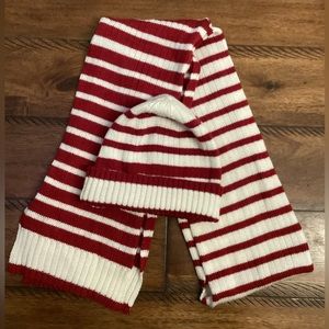 Ann Taylor Loft Hat and Scarf set